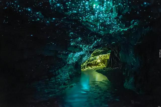 外国诗歌大全，外国诗歌大全集（每日两首中外现代诗——赖特/芒克）