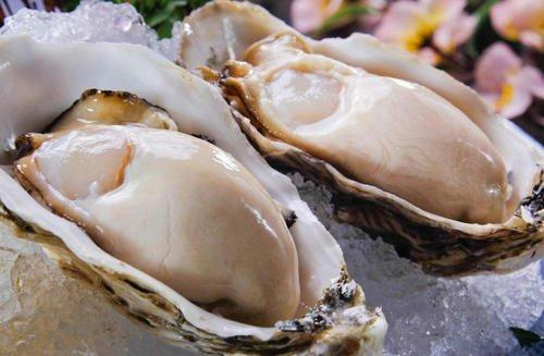 蒸生蚝要不要把壳撬开，蒸生蚝要开壳吗（蒸生蚝要开壳吗）