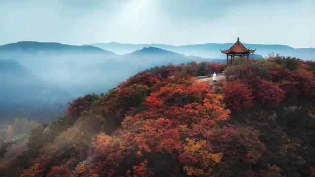 满山红叶似彩霞，阿宝歌曲大全（山东最全赏红叶地图来了）