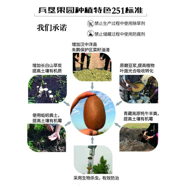 猕猴桃产地，陕西宝鸡猕猴桃产地（中国猕猴桃排名前五的产地在哪些省份）