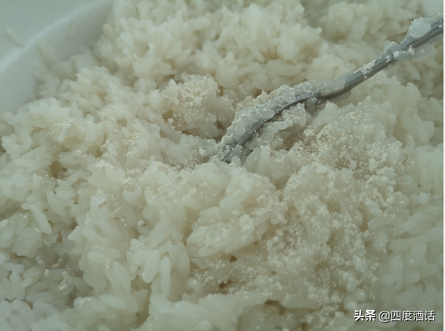 米酒怎么做，米酒的制作方法（米酒怎么做才能出酒）