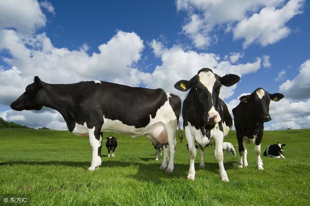 有益的动物有哪些，有益的动物有哪些名称是（其中有一种你绝对猜不到的）