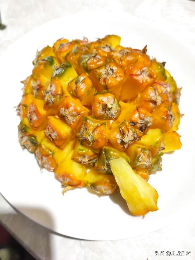 菠萝的种子是什么，菠萝的种子是什么?怎么种（菠萝是一个果实吗）