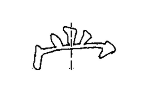 尚可以加哪些偏旁部首，尚有什么偏旁部首（宝盖头和尚字头两个部首的区别）