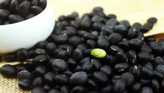 黑豆果的功效与作用，黑豆果是什么果？有什么功效（会发现慢慢多了4种好处）