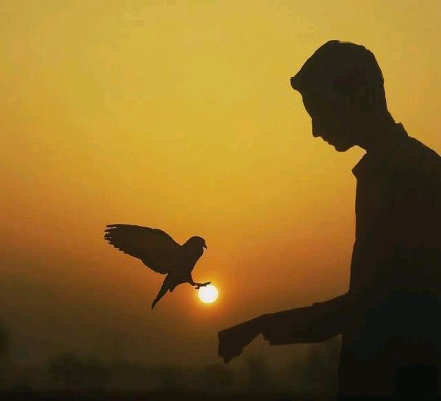 关于努力说说大全，努力的说说心情短语（鼓励自己努力奋斗的说说）