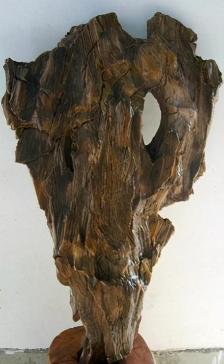 鱼缸底部铺什么好，鱼缸底部铺卵石养什么鱼（如何挑选一个合适自己的鱼缸）