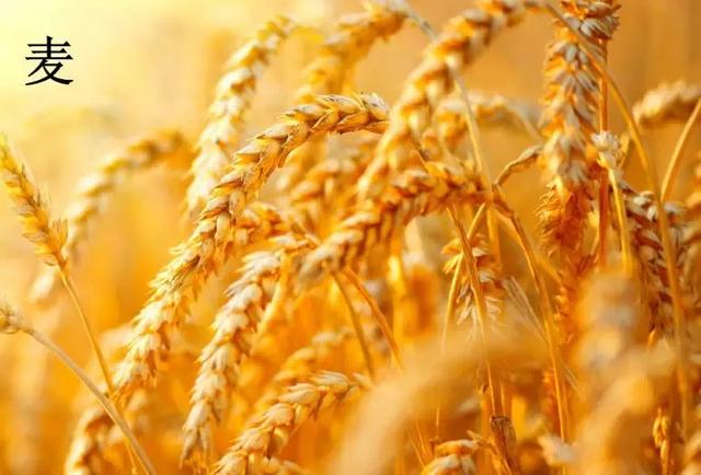 六畜是哪六畜,六畜是什么(让我们一起走进国学馆) 六畜是哪六畜,六畜是什么(让我们一起走进国学馆)