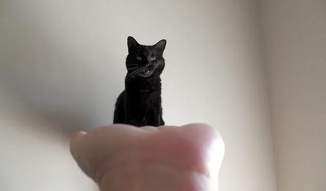 视觉错觉奇异图片，错觉摄影作品（7个简单步骤拍出错觉照片）