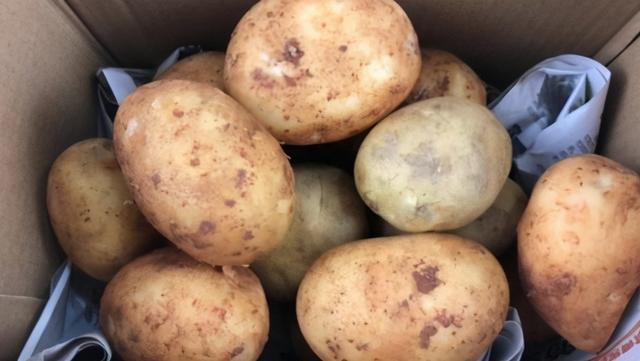 储存土豆最有效的方法，土豆不发芽不变质