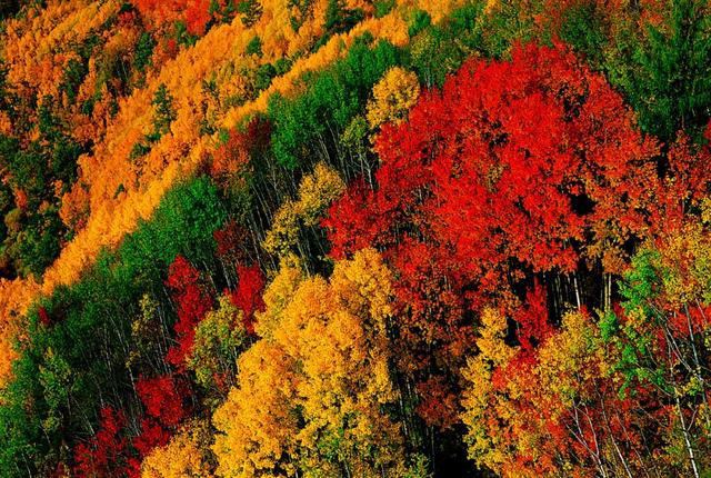 海拉尔旅游景点大全，海拉尔景点（呼伦贝尔18条旅游线路发布）