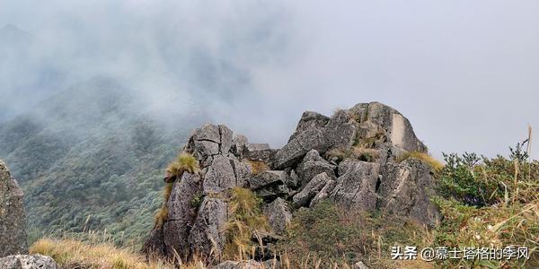 武夷山在哪个省，武夷山景点介绍（武夷山是闽、赣两省共享之山）
