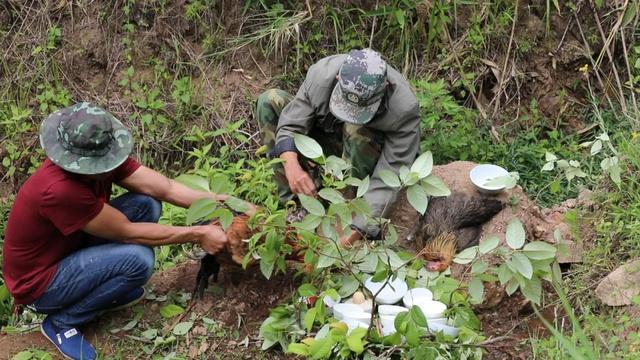 哈尼是什么意思，哈尼是什么意思在中国（哈尼族祈祷风调雨顺的这个民间习俗）