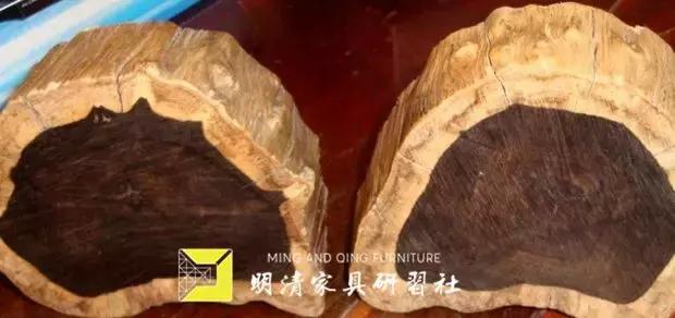 黑紫檀木与紫檀的区别,紫檀和黑檀木的区别(紫檀的秘密 / 闹剧一场) 黑紫檀木与紫檀的区别,紫檀和黑檀木的区别(紫檀的秘密 / 闹剧一场)