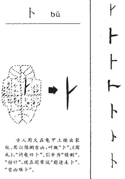 篦子是什么意思，馏馍是什么意思网络用语（网友：图十二的意思真想不到）