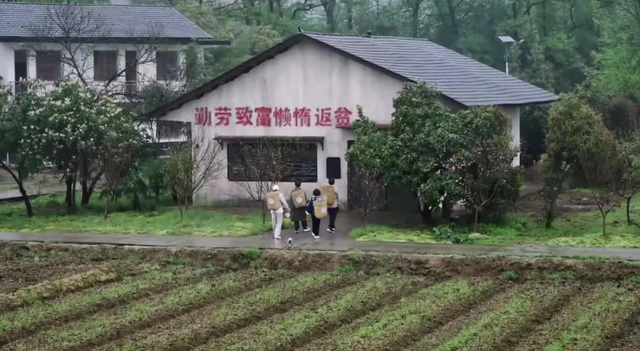 梦见鸡圈是什么意思，梦到鸡圈是啥意思（黄磊翻窗、张艺兴怕鸭、彭彭套圈）