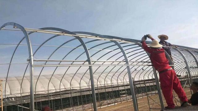 葡萄大棚，这样搭建大棚种植葡萄（葡萄大棚图片）