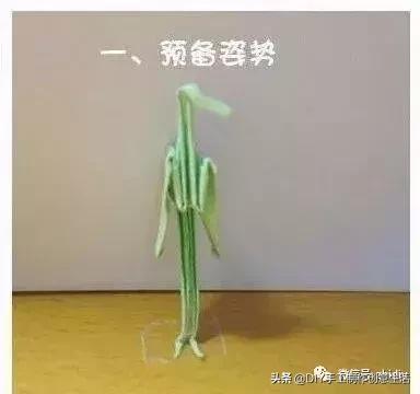 纸鹤怎么折图片 步骤,怎样折千纸鹤(怎么折纸鹤) 纸鹤怎么折图片 步骤,怎样折千纸鹤(怎么折纸鹤)