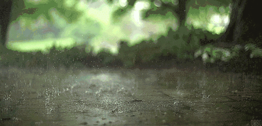 为什么雷雨之后的空气特别清新，为什么打雷下雨后空气清新（下雨天味道为何如此清爽）