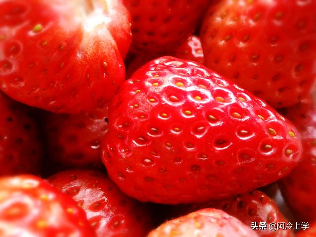 拟物和比喻的区别，拟物和借喻有什么区别（想做对没那么容易，附答案）