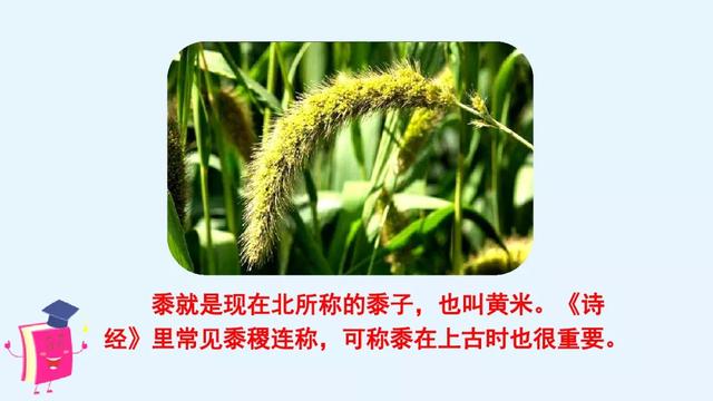 风雨兼程是什么意思，披星戴月风雨兼程是什么意思（部编版六年级上册《语文园地六》图文讲解）