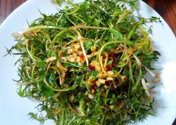 做清明果的草叫什么草，做清明果的那种草叫什么（春天不可错过的4种野菜）