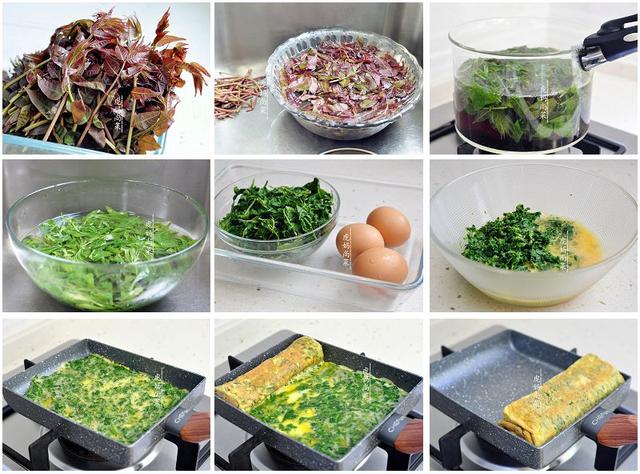 香椿芽怎么吃,香椿酱的制作方法步骤(香椿做法16种)