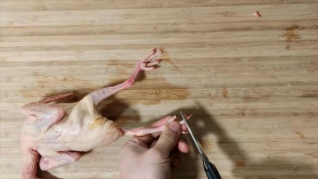 鸽子喜欢吃什么，家养的鸽子吃什么（23年一级大厨专业详细讲解）
