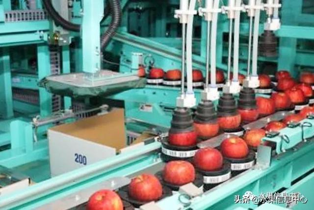 果蜜是什么，柠檬果蜜是什么（走进日本苹果第一大县“青森县”）