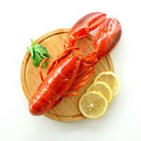 虾有多少品种，淡水虾有哪些品种（虾类双11购买攻略富山虾）