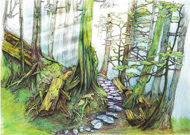 马克笔绘画教程风景画，马克笔绘画教程入门（适合初学者学习的彩铅风景画步骤教程）