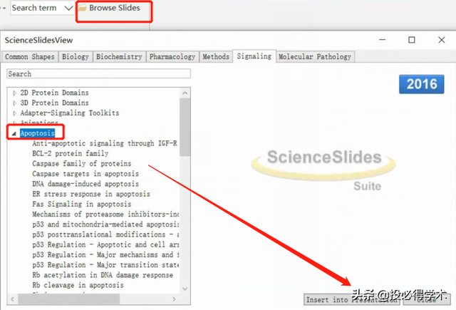 ppt绘图工具在哪里，ppt绘图工具在哪里打开（这款强大的PPT通路图绘制插件来了）
