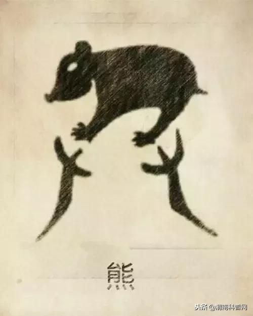 一个草字头一个吕，草字头加吕什么字（中国100大姓氏起源、图腾）