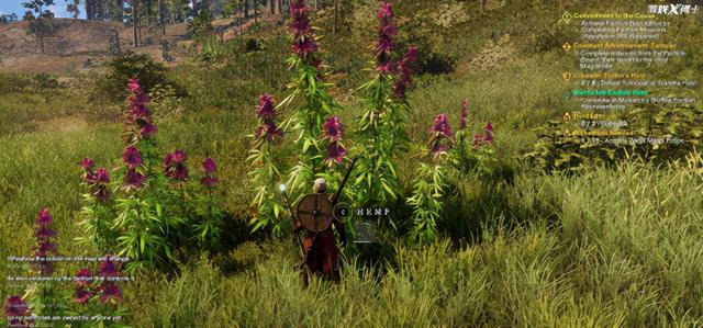 现在火爆的网络游戏，现在火爆的网络游戏（比绝地求生还火的Steam新游）