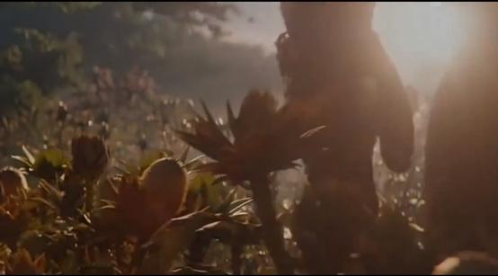 火参果怎么吃好吃，火参果怎么吃什么味道（爆红灭霸果<火参果>）