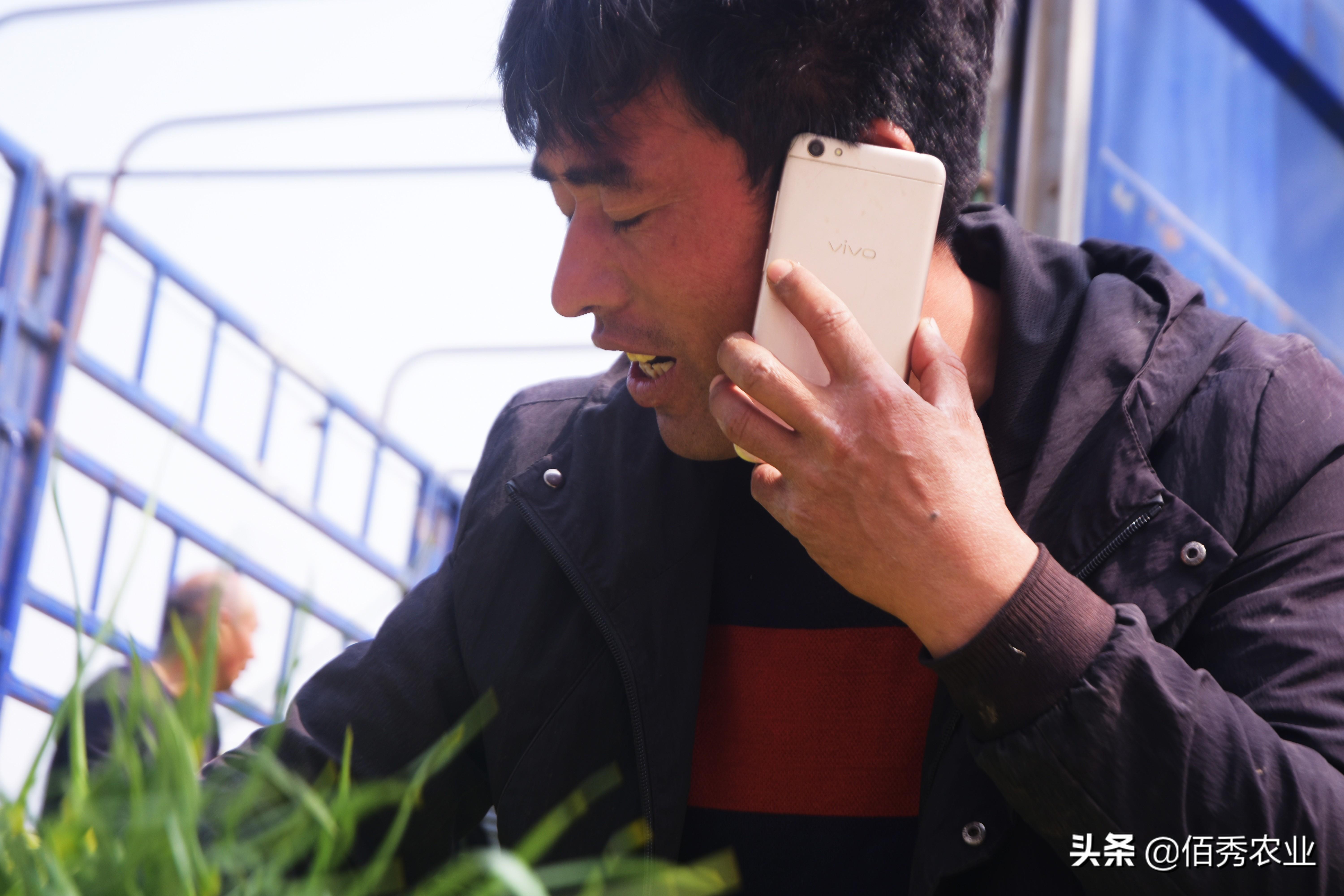 农村适合做什么生意(农村零投资的创业项目)