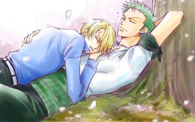 妮可罗宾喜欢谁罗宾未来男友到底是谁罗宾的最佳伴侣究竟是谁