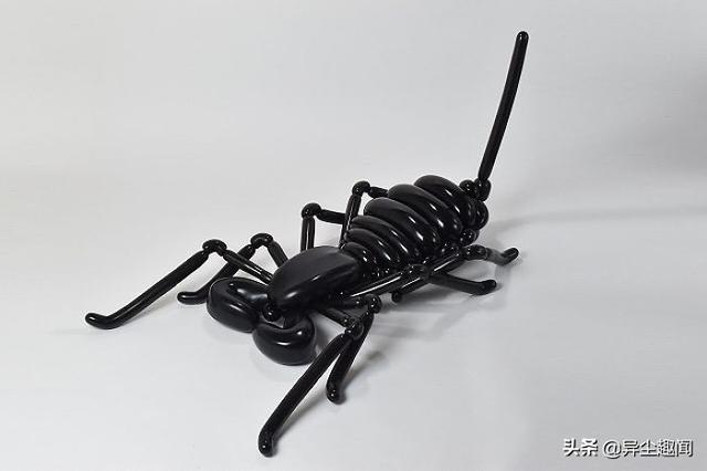 用气球做小动物教程，教你用气球做小狗的方法（日本艺术家用气球制作了令人难以置信的动物模型）