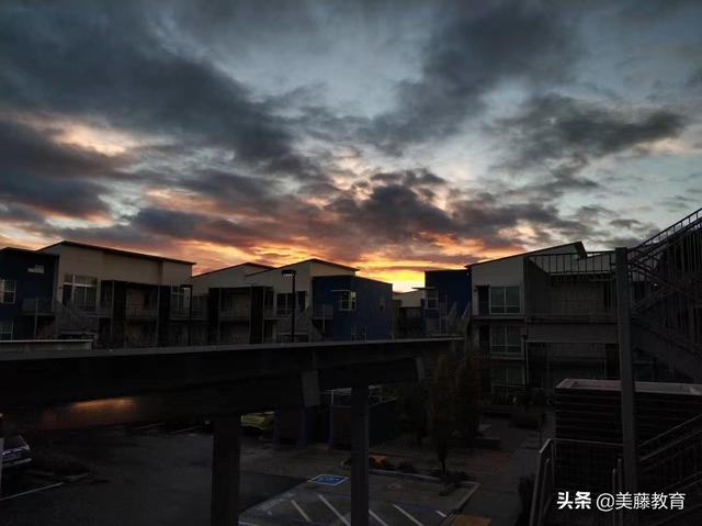 ucd是什么大学，ucd是什么大学排名（你知道加州大学戴维斯分校这么牛吗）