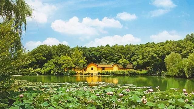 任公是指谁，任公指的是什么（字“润之”与名“泽东”为何相映成趣）