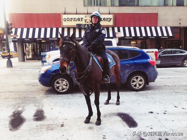 阳光彩虹小白马什么梗，“黑人命贵”这个口号本身就是一种种族歧视