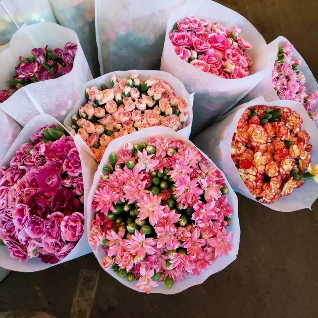 荷花最好看的品种是什么，这花最好看、最好养