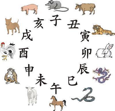 豺狼当道是什么生肖，豺狼当道是什么生肖猜一肖（在家陪孩子读一读这些）
