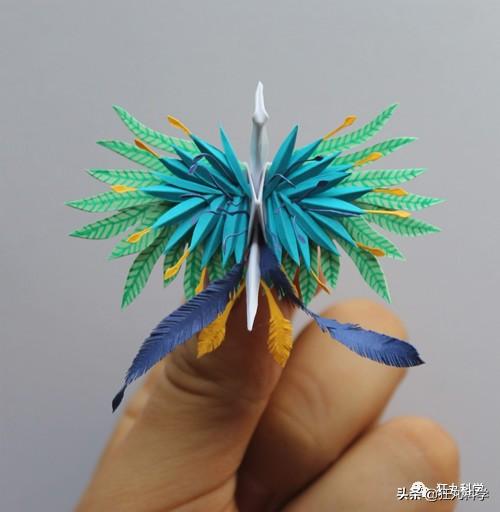 如何做一个千纸鹤，怎样才能做千纸鹤（一千天叠出1000种纸鹤）