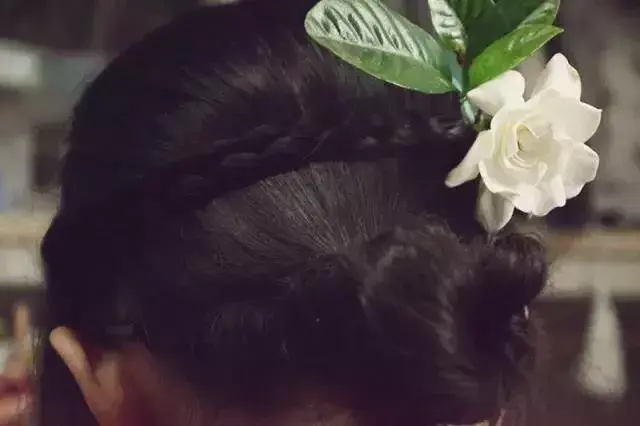 茉莉花的功效，茉莉花的功效与作用泡水喝的功效（因为它气机清灵啊）