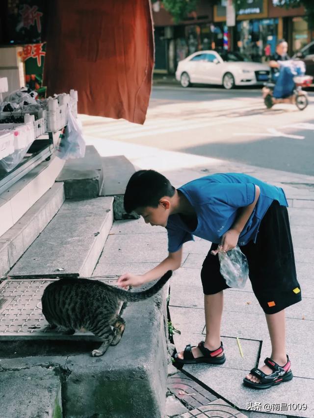 松柏巷里万家人，松柏巷带给我们的满足（南昌电视剧松柏巷里万家人）