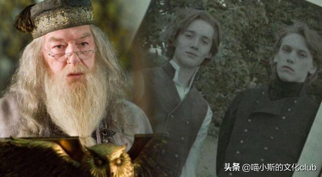 ggad是什么，ggad是什么梗（邓布利多和格林德沃的关系）