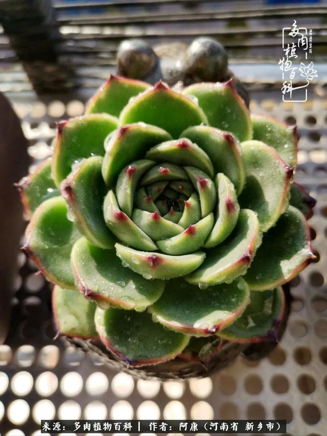 2021九·一八事变是多少周年，2021年是九一八事变的几周年（献给2021最好的春天）