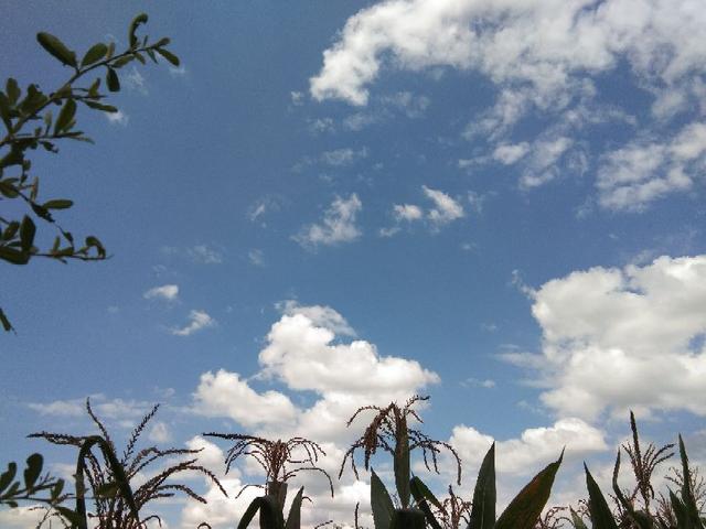 我的家庭回忆录，家人给了我无尽的勇气和力量（我的家庭回忆录 贰）