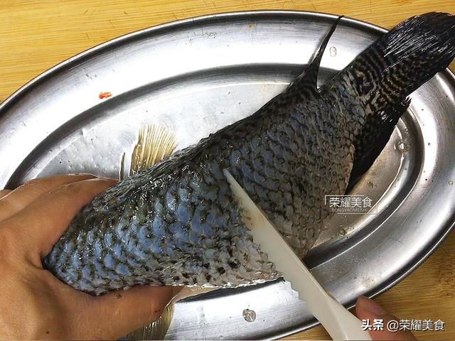 花斑鱼怎么做好吃，花斑鱼切片怎么做（加盐和料酒就错啦）